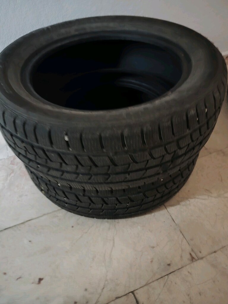 2 ADET ROADSTONE EUROVİS ALPİNA KIŞ LASTİĞİ 205/55/16 91T - 4