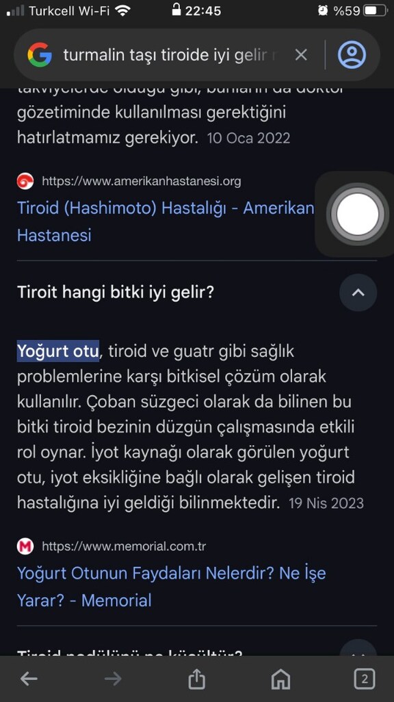 kedi çantası - 14
