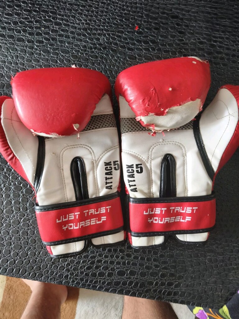 boks eldiveni 10 oz - 3