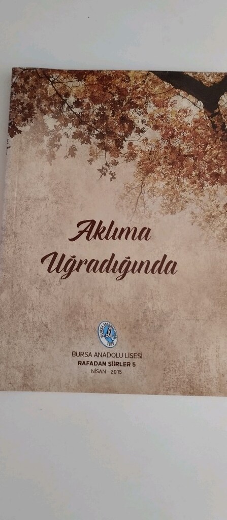 4adet kitap çesitli kategorilerde kitap - 8
