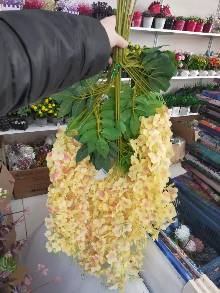 Akasya dalı