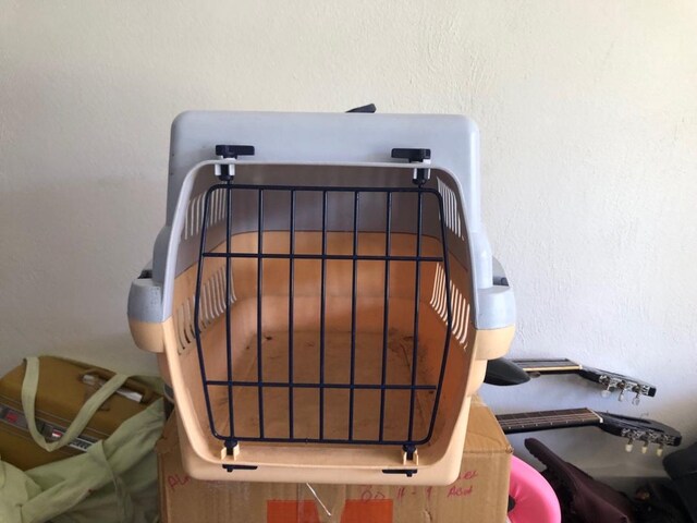 imac carry 50 köpek taşıma çantası
