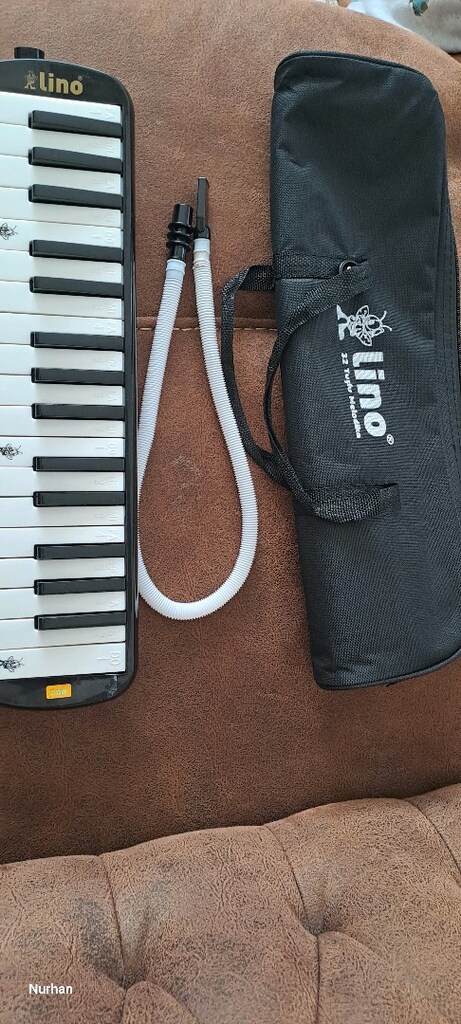 Melodika 32 Tuşlu Bez Çantalı lino - 2