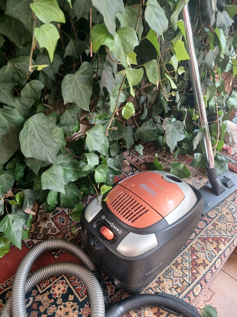 ORJİNAL ALMAN MALI PROFİLO ELEKTRİKLİ SÜPÜRGE TOZ TORBALİ 2300 WAT - 3
