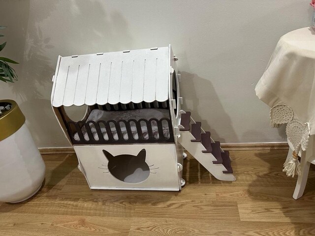 Kedi Evi