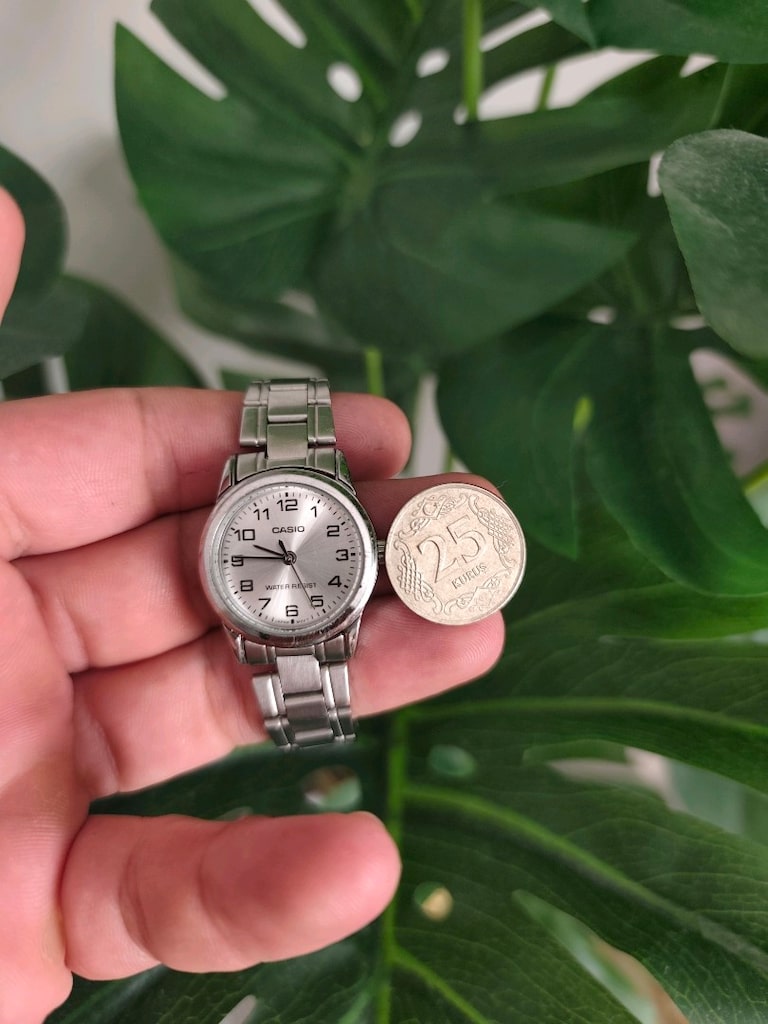 Orjinal Casio Mini Çelik Kasa/Kordon Kadın Klasik Saat - 12
