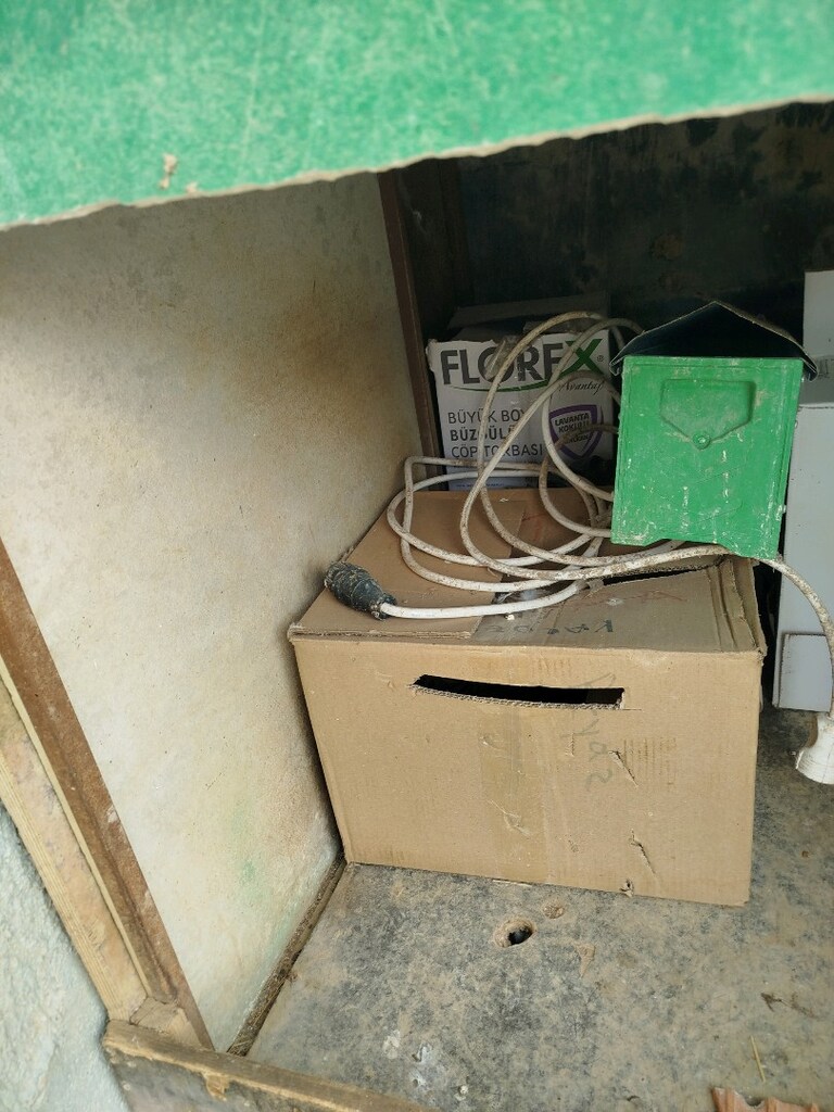 köpek kulübesi - 3