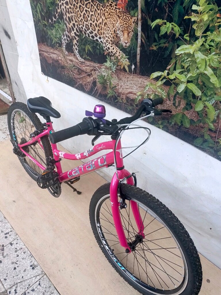 24" CANT CARRARO speed 242 KIZ BİSİKLETİ - 4