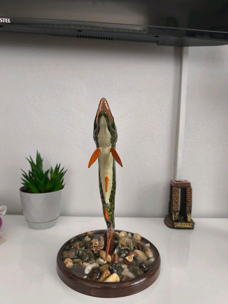 Özel Yapım Turna Balığı Biblosu / Masaüstü Dekor (El Emeği) 1 kg - 6