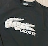 Lacoste erkek sweatshirt - 2