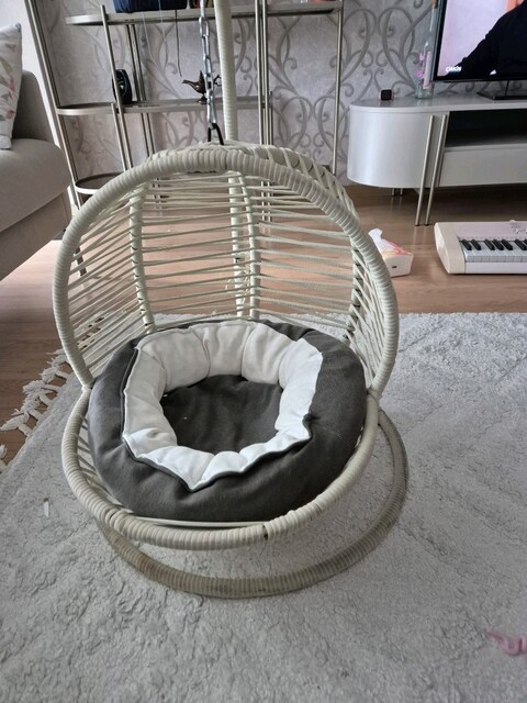 KEDİ SALINCAĞI