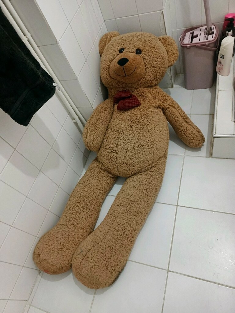 ayıcık büyük boy - 2