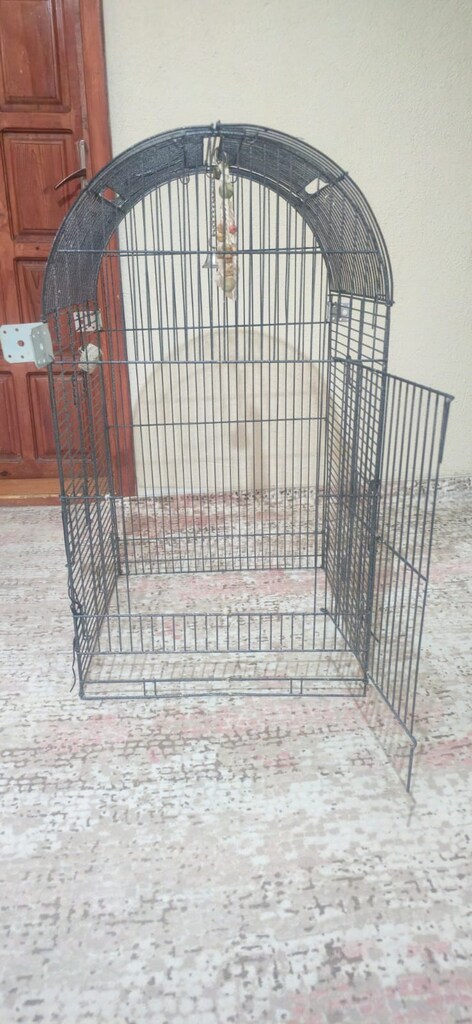Tekerlekli Ayaklı Büyük Kubbeli Papağan Kafesi Ve Oyun Parkı - 3