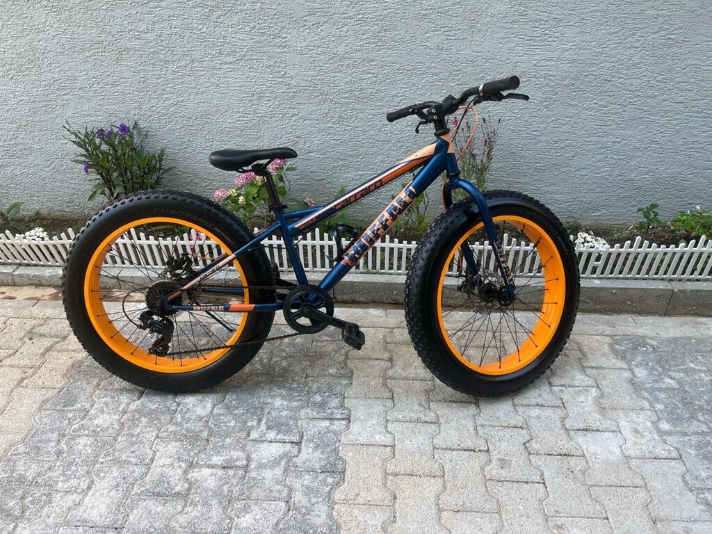 SATLIK CARRARO BUFFALO - 4