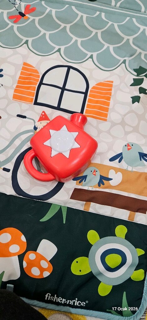 Fisher Price Oyun/Aktivite halısı - 4