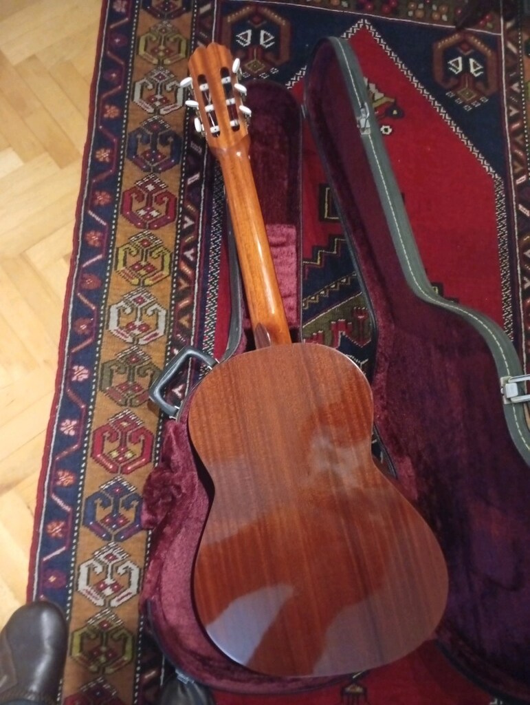 gitar - 6