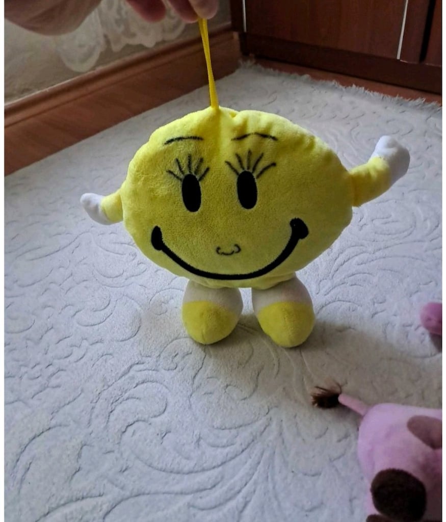 pelüş oyuncaklar - 2