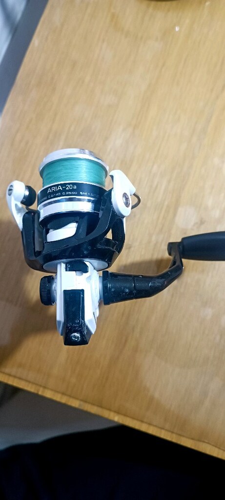 Okuma Arıa 20 a - 5