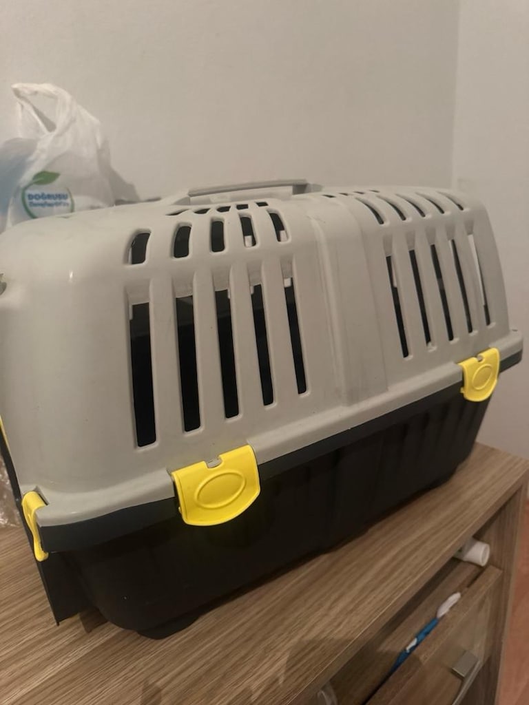 kedi köpek box - 4