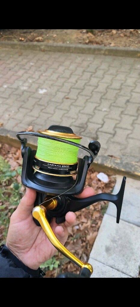 albastar castana 6500 - 3