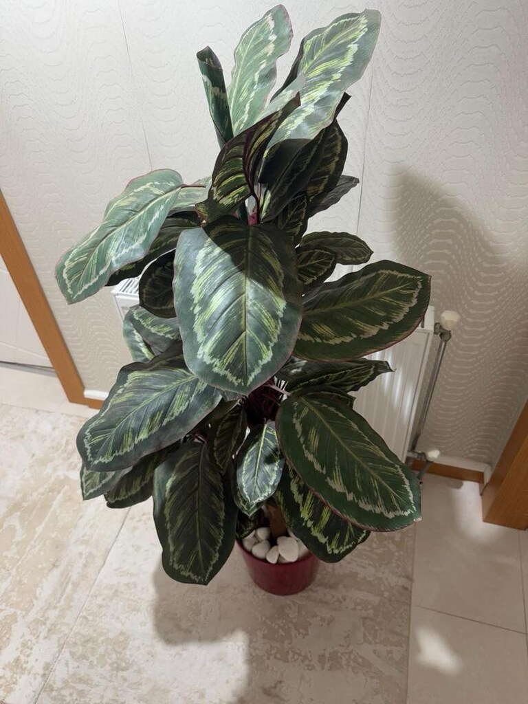 yapay dua çiçeği 150 cm - 3