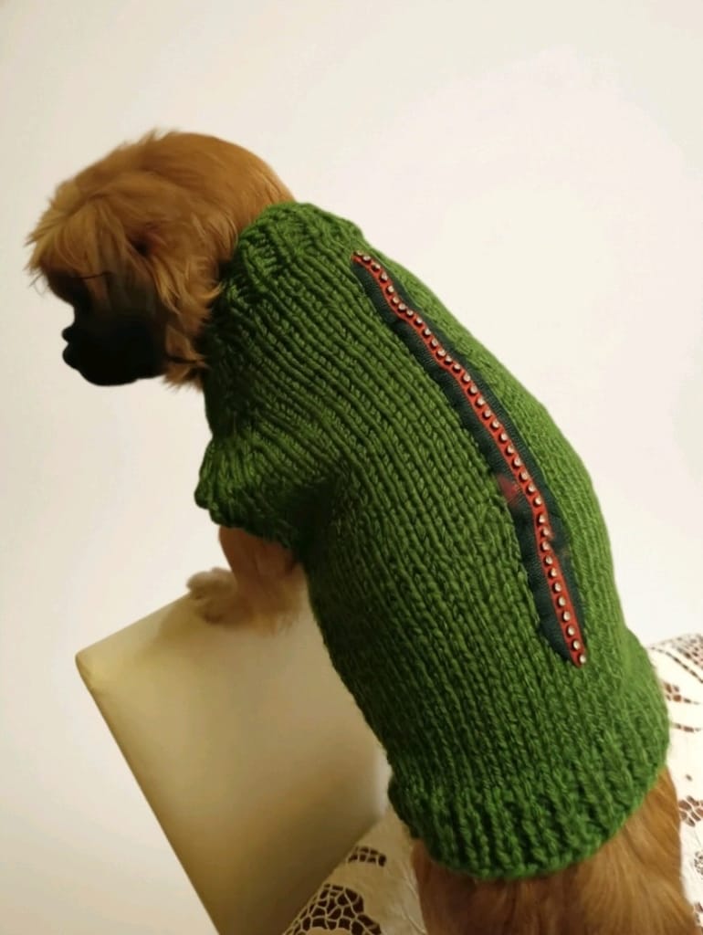köpek giyim kazak