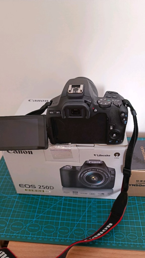 Canon EOS 250D Kit (18-55mm) + Yongnuo 50mm f/1.8 Lens - 3