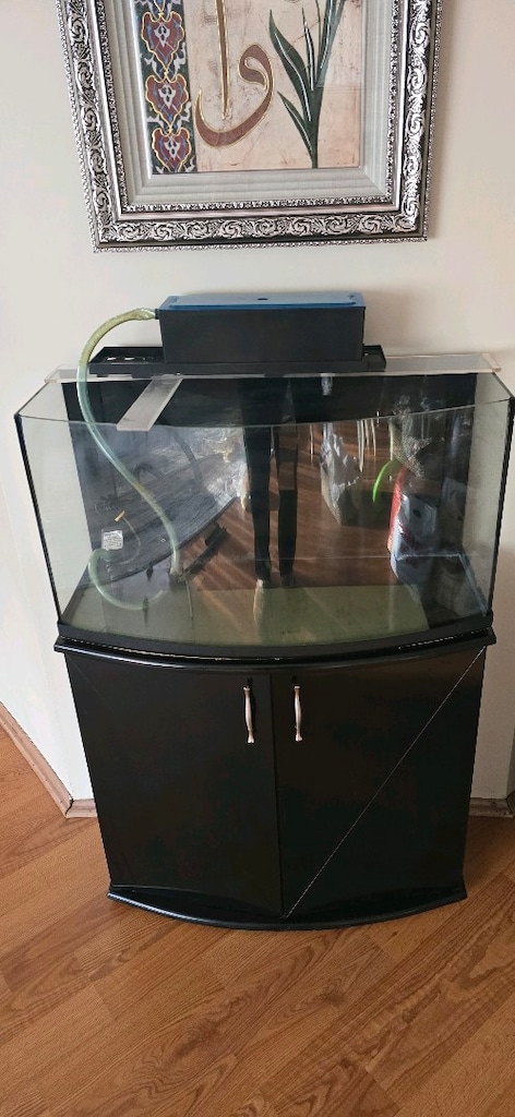akvaryum ışık ve tepe filtre 80 cm bombeli sehpalı - 15