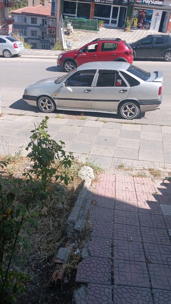 canavar satışta - 3