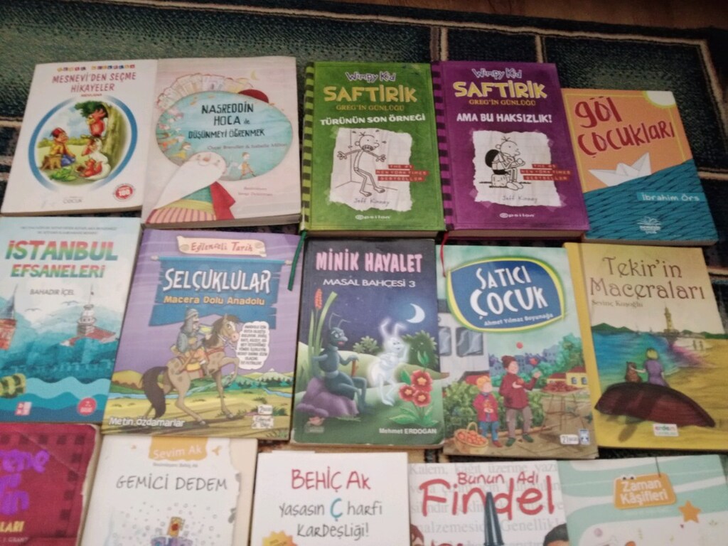 Orta okul için keyifli eğitici kitaplar - 2