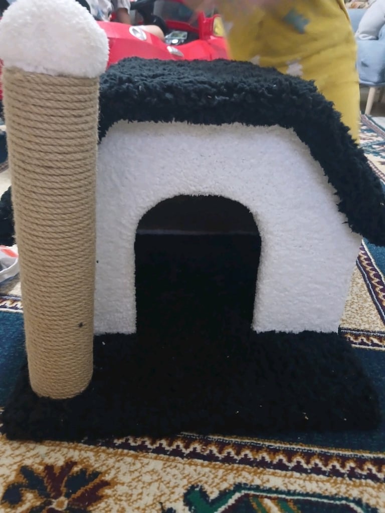 Kedi evi