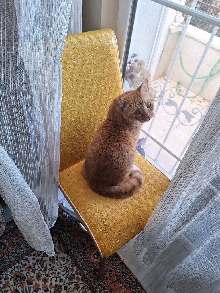 Açılabilir çok sağlam yemek masası - 7