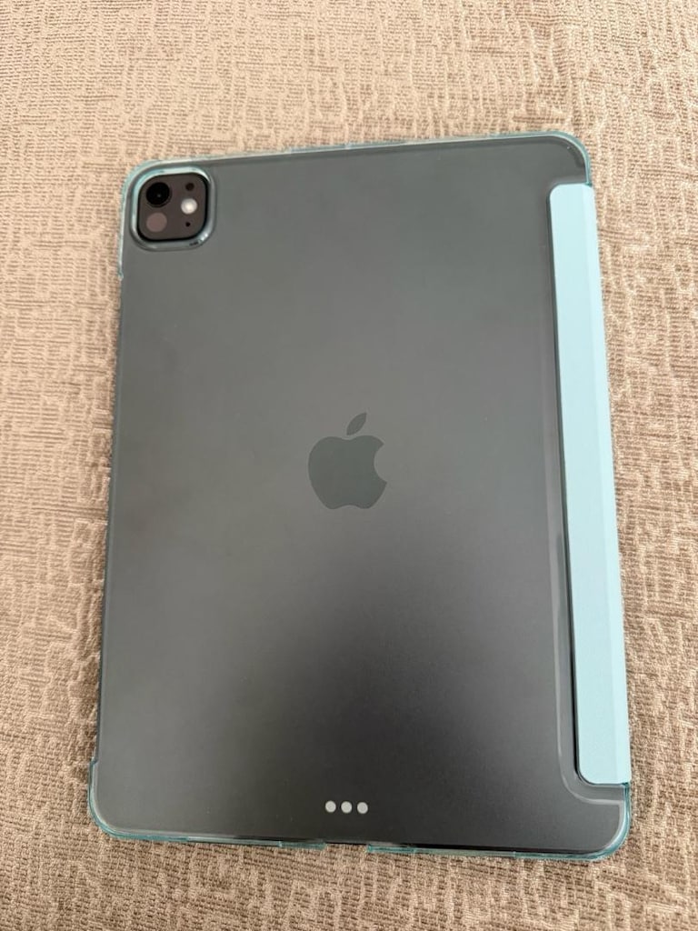 iPad Pro M5 256 GB 11 inç - 2