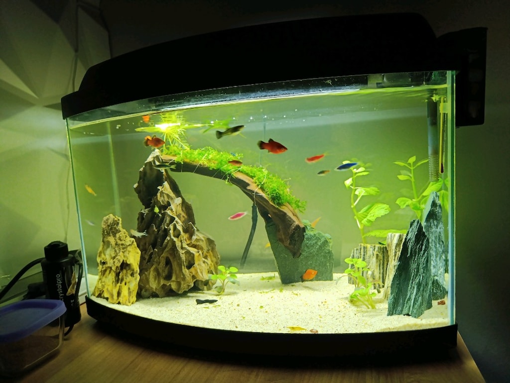 30 litre hazır kurulu akvaryum - 2