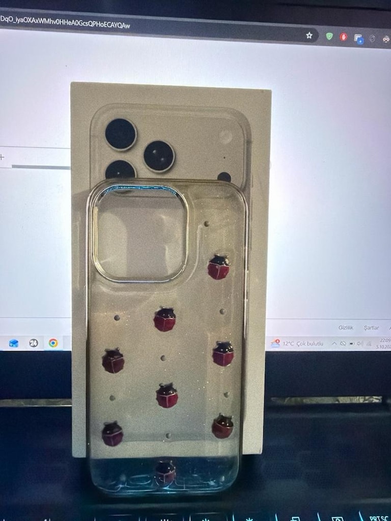iPhone 15 Pro uğur böcekli kabartmalı kılıf
