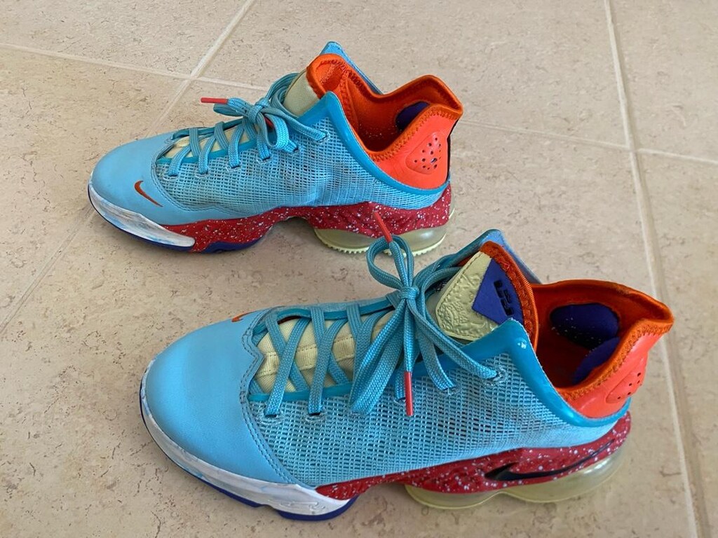 Nike LeBron 19 low - 2