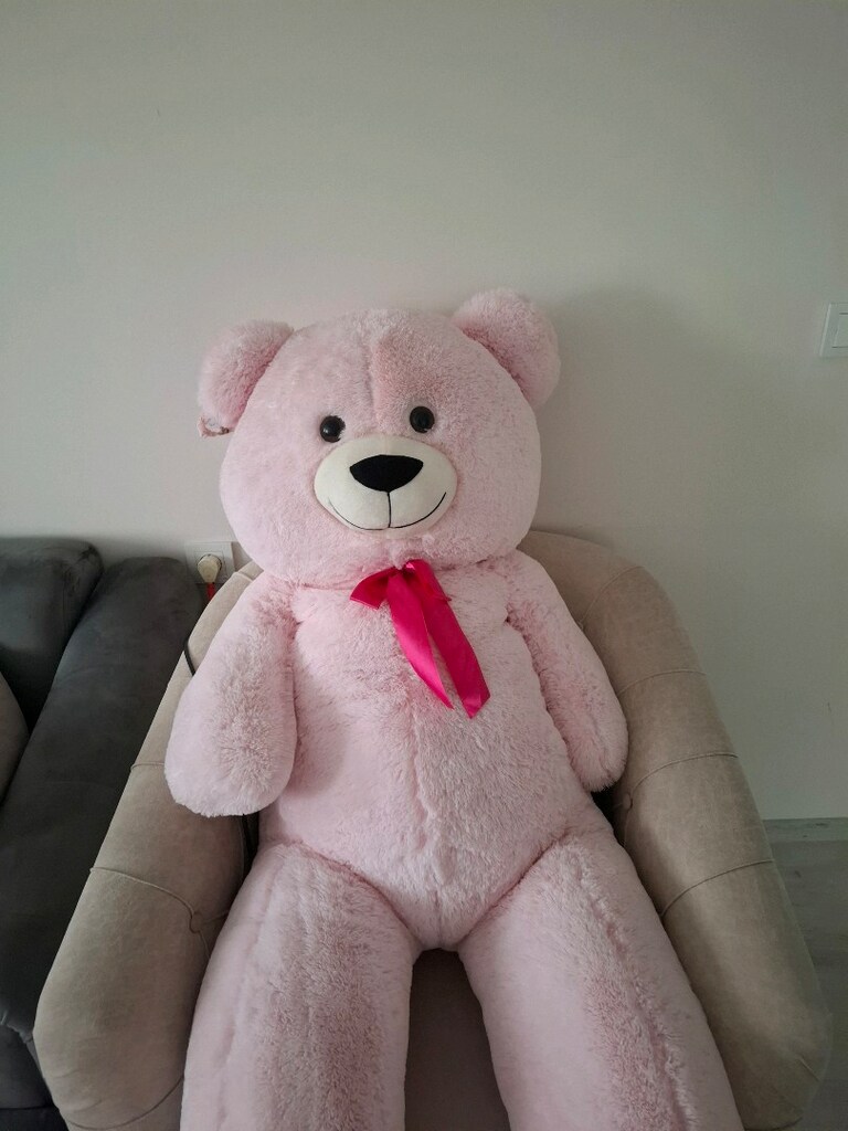 az defolu temiz ayıcık - 3