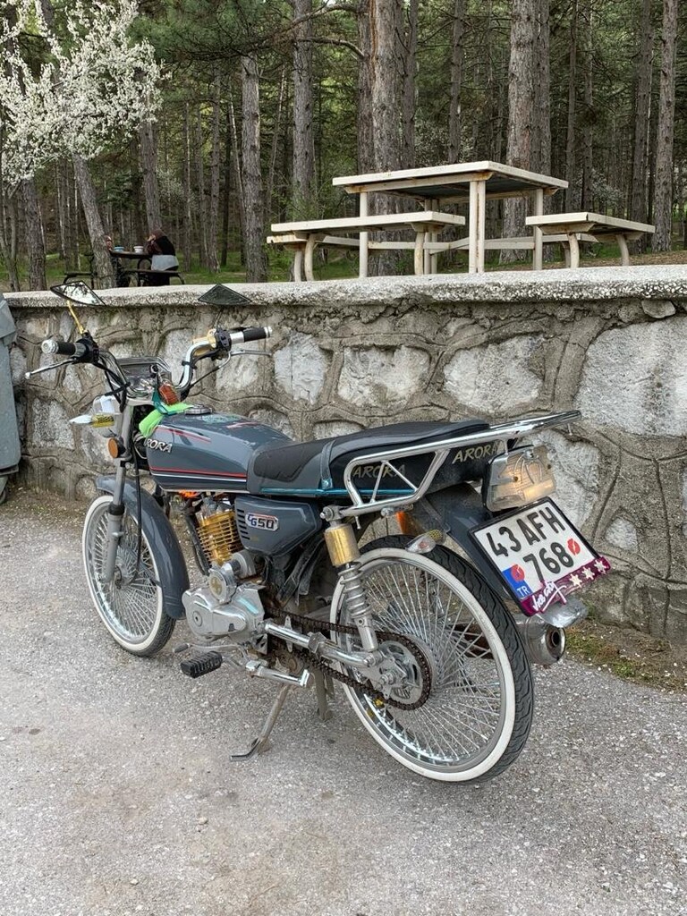 Arora 50r gold - 3