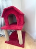 Kedi evi - 2