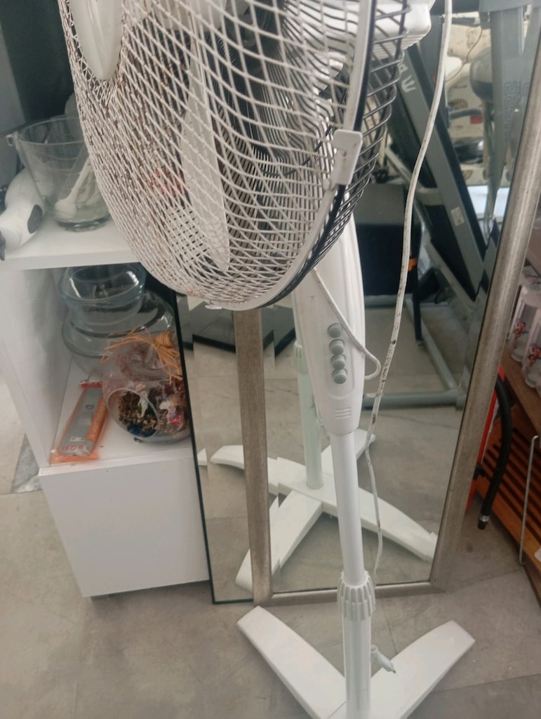 kiwi vantilatör - 2