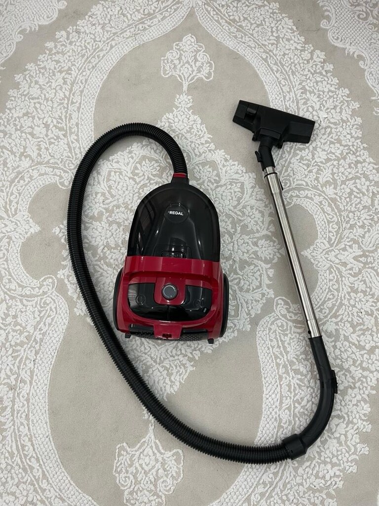 REGAL ELEKTRİK SÜPÜRGESİ - 6