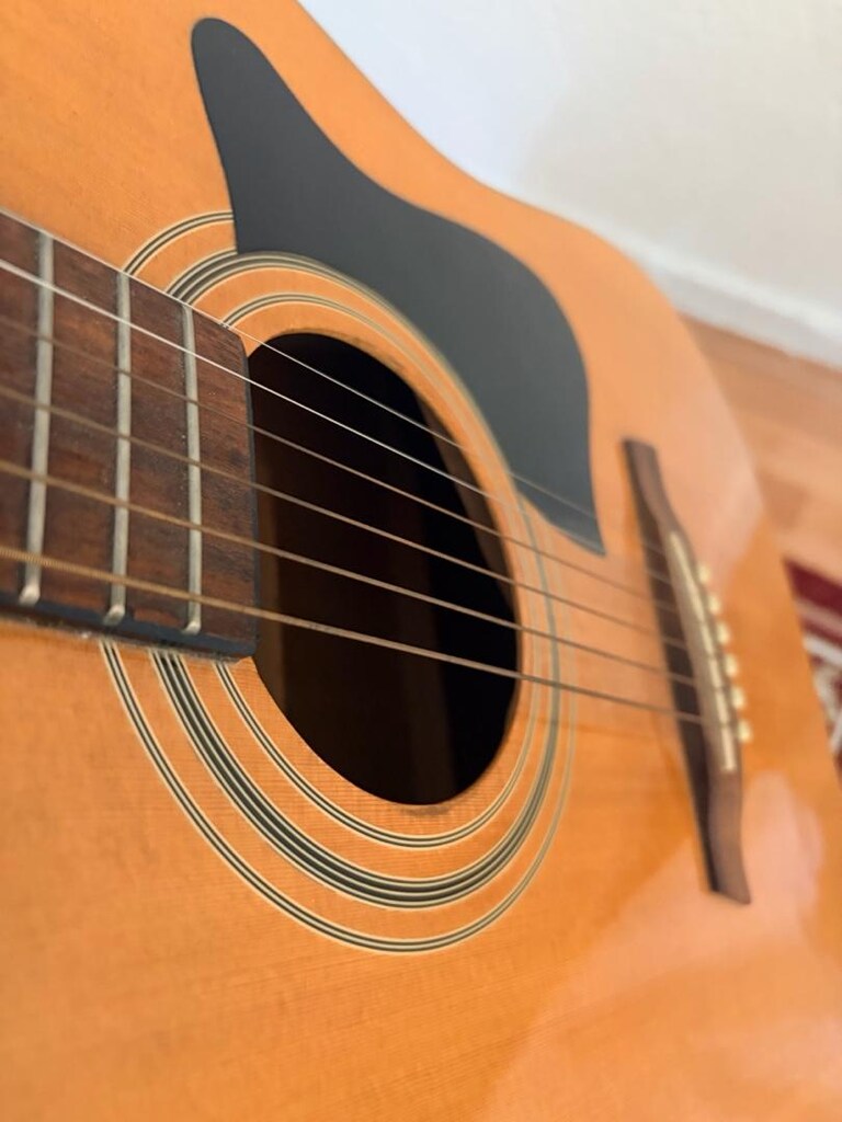 Ibanez Akustik Gitar - 4