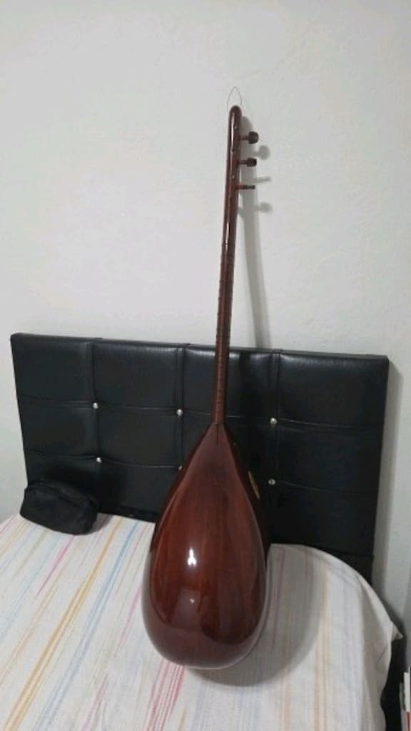 KISA SAP PROFESYONEL BAĞLAMA - 2