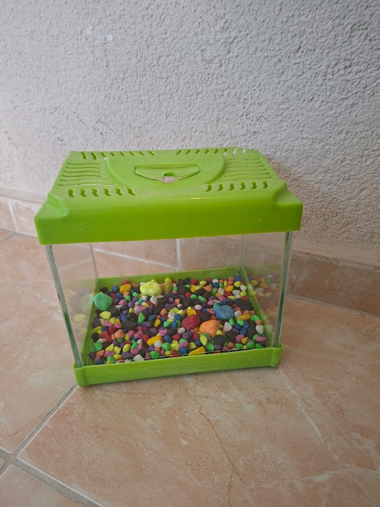 20 cm Akvaryum tasları ile birlikte - 5