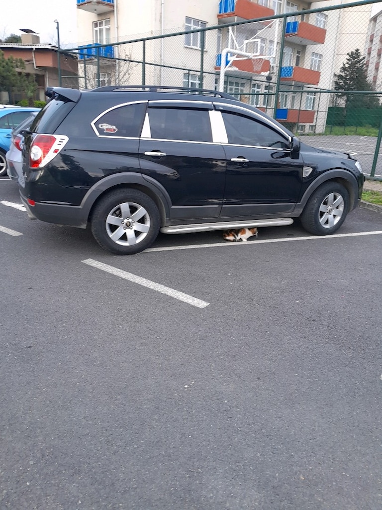 4X4 7 KİŞİLİK HATASIZ BOYASIZ TRAMERSİZ 191 BİN K.DE CAPTİVA - 4