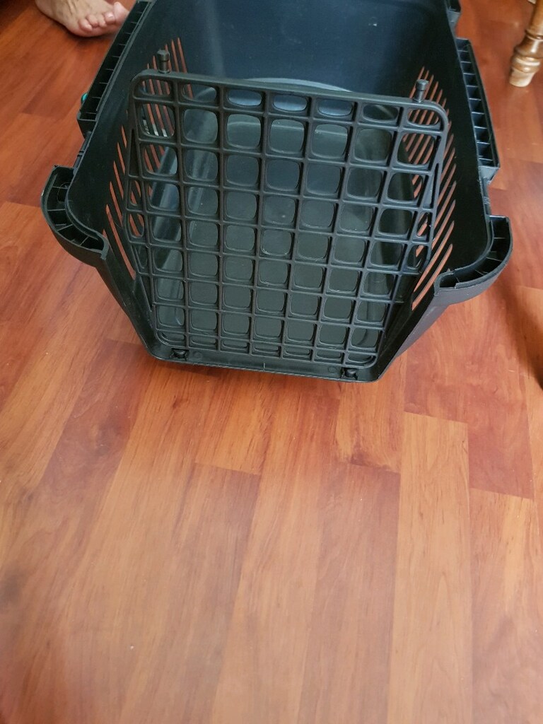 kedi köpek taşıma çantası - 7