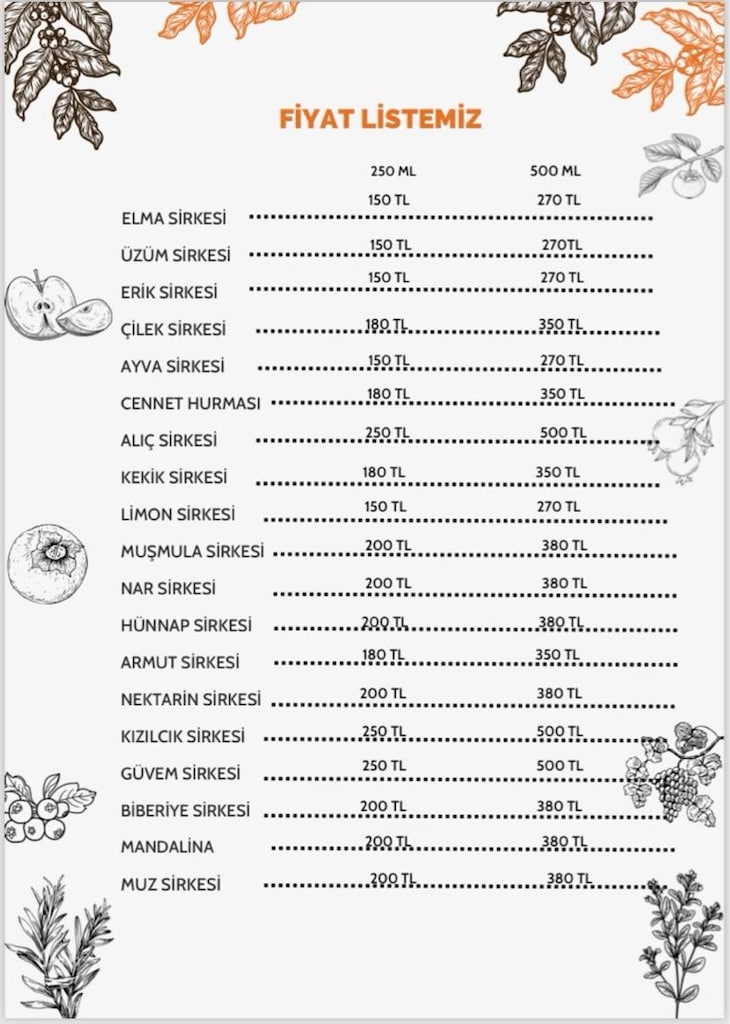 Ev Yapımı Doğal Sirkeler