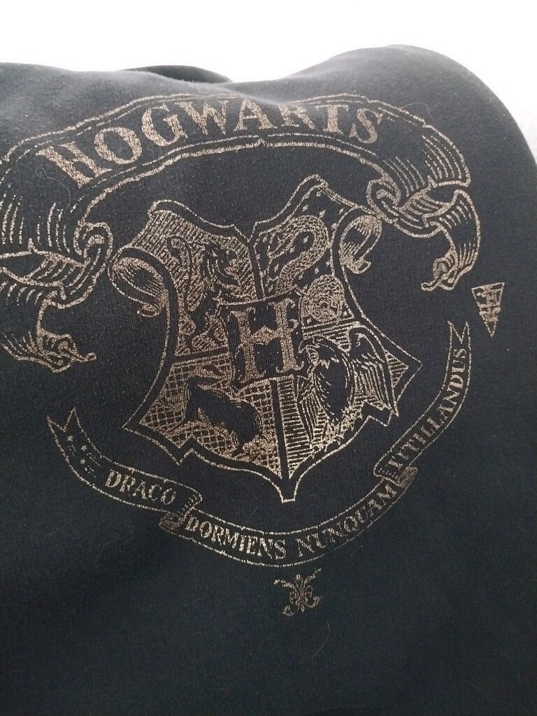 harry porter serisinden hagways kapsonlu sweat - 4