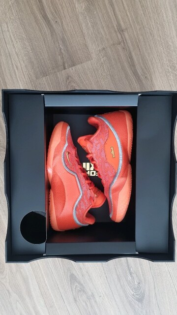 Lebron 23 “Shoe Bag” 44.5 numara