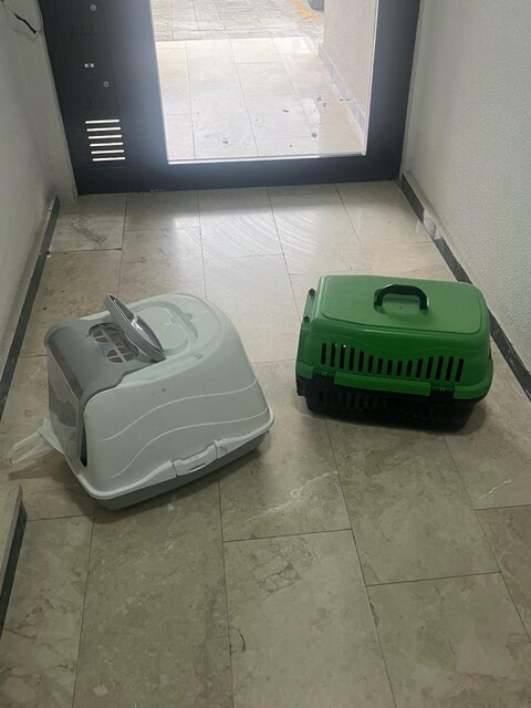 EVCİL KEDİ ÇANTASI